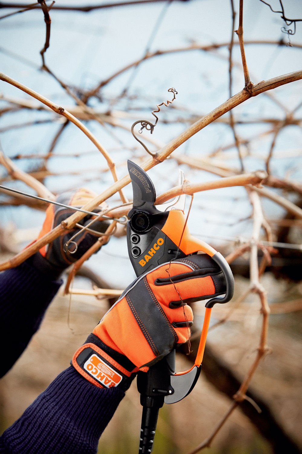 Bahco BCL21 Professional LithiumIon Battery Powered Secateurs Garden