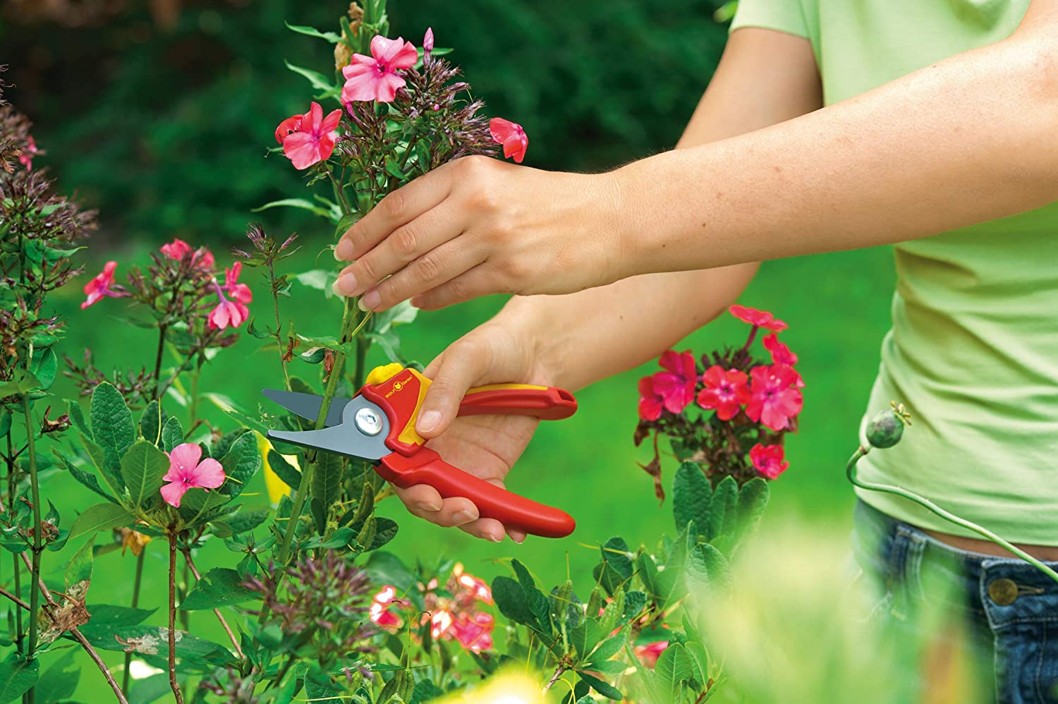 Wolf Garten RR 1500 Basic Plus Garden Bypass Secateurs - Made in Germany 73CFA001650 - Image 3